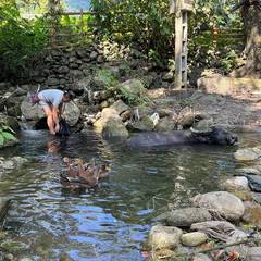 Photo 3 shared by Claudia C. on Tripadvisor