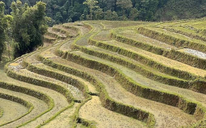 Photo 1 shared by Chantalle B. on Tripadvisor