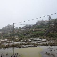 Photo 2 shared by Levienb on Tripadvisor