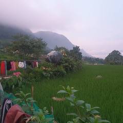 Photo 3 shared by Maurin K. on Tripadvisor