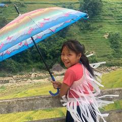Photo 2 shared by A Tripadvisor traveller on Tripadvisor