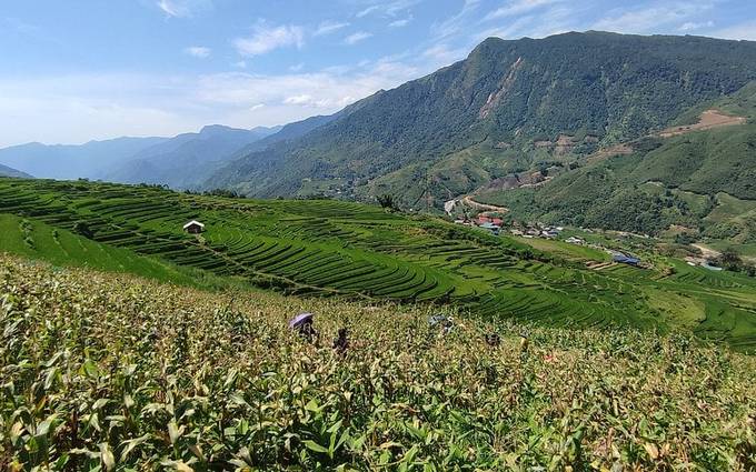 Photo 1 shared by Gorzatas on Tripadvisor