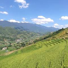Photo 7 shared by Gorzatas on Tripadvisor
