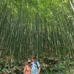 Photo 2 shared by Madison on Tripadvisor