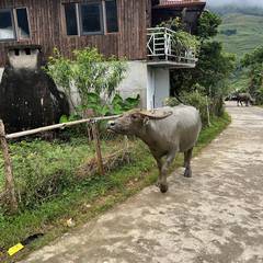 Photo 2 shared by Loes H. on Tripadvisor