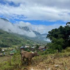 Photo 3 shared by Loes H. on Tripadvisor
