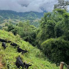 Photo 5 shared by Loes H. on Tripadvisor